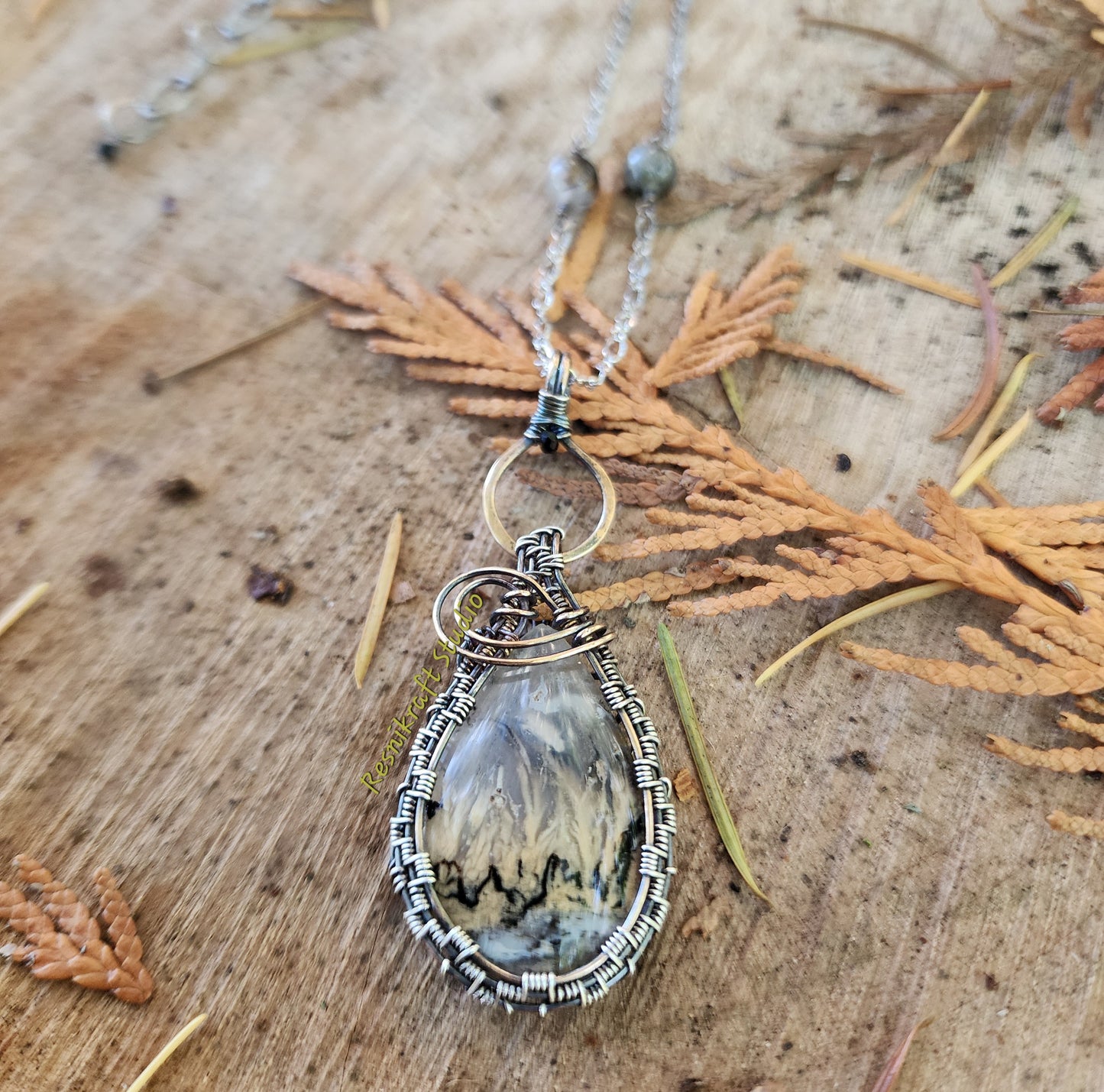 Wire Wrapped Tiger Dendrite