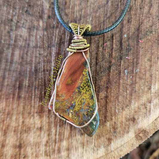 Wire Wrapped Petrified Wood 1